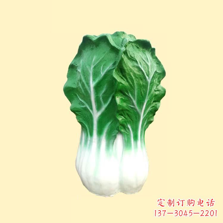 泰州白菜智能投影仪——让你的生活更加精彩