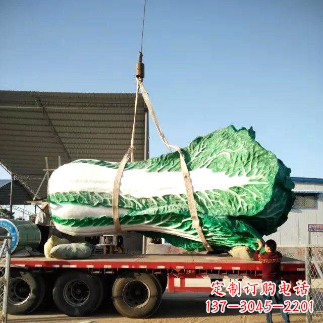 泰州白菜之美——给你一份独特的食材
