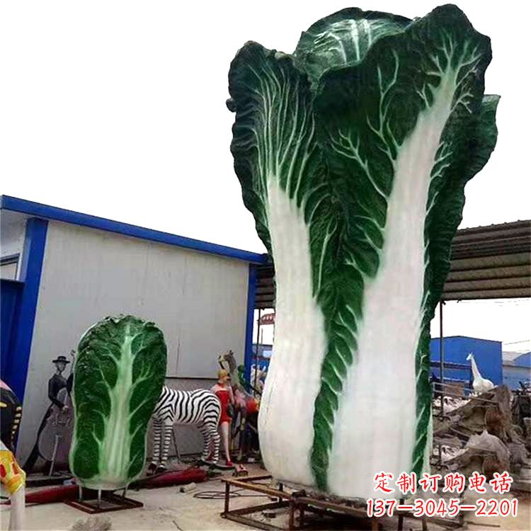 泰州白菜艺术——融合植物与艺术的完美结合