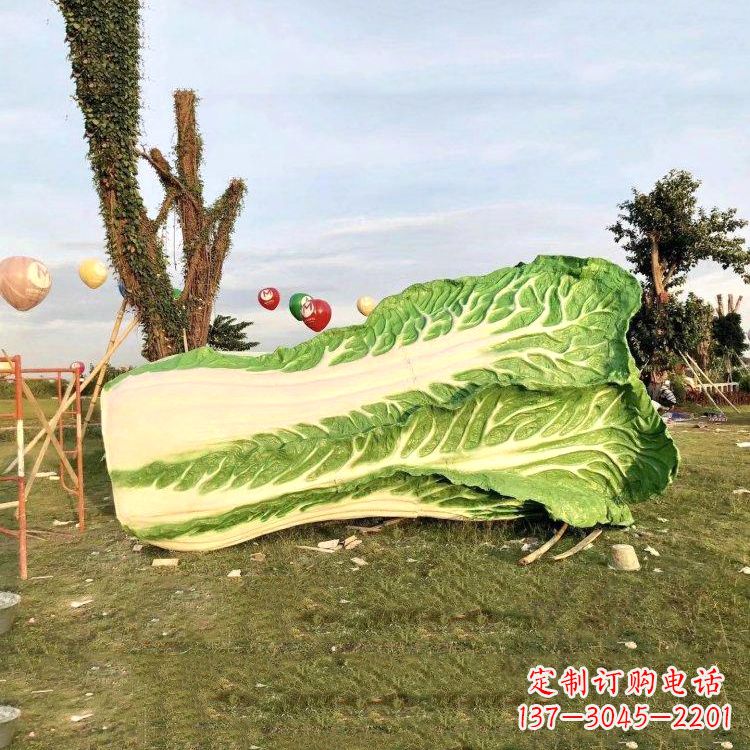 泰州新鲜白菜“精致生活”系列