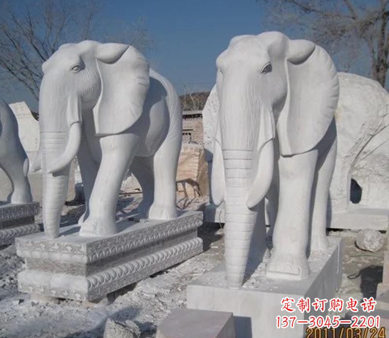 泰州白色大象