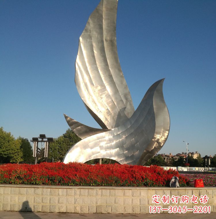 泰州“鸽子之恋”——让爱飞翔