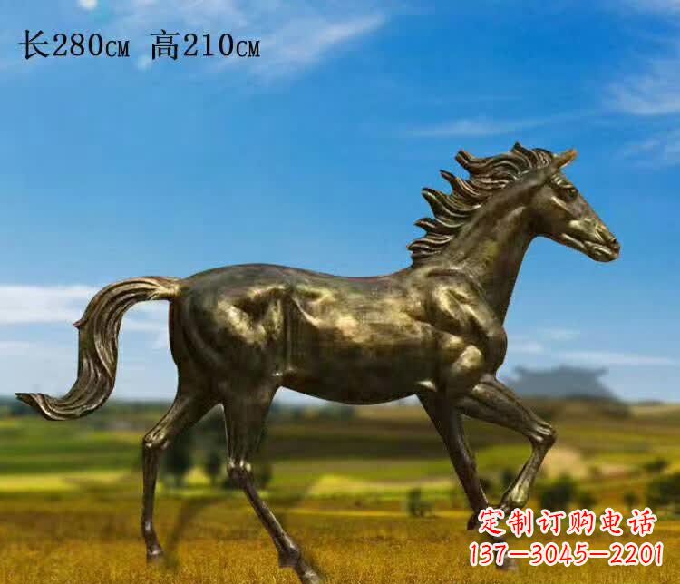 泰州新马之精髓