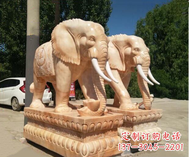 泰州大象晚霞