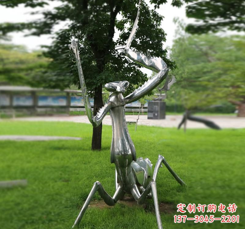 泰州不锈钢草坪螳螂雕塑
