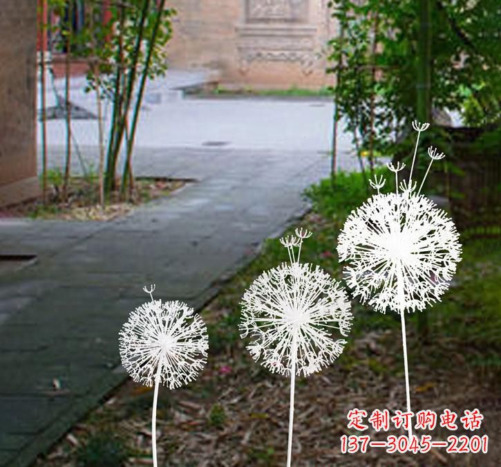 泰州不锈钢蒲公英点亮城市之美