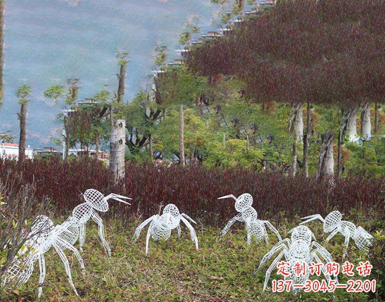 泰州不锈钢蚂蚁镂空雕塑艺术与自然的完美结合