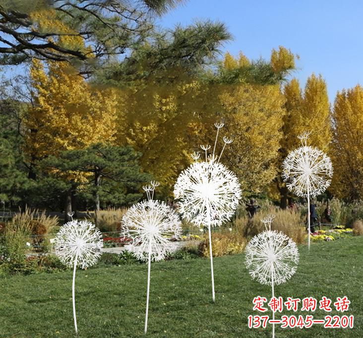 泰州不锈钢蒲公英景观雕塑艺术与美的完美结合