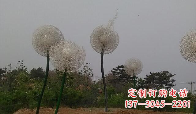 泰州蒲公英的绚丽多彩