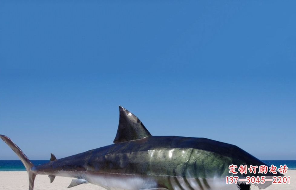 泰州海洋生物之美——不锈钢鲨鱼雕塑