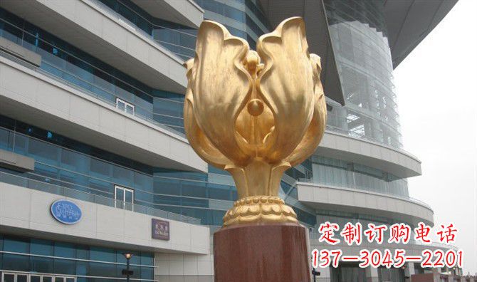 泰州不锈钢紫荆花之美
