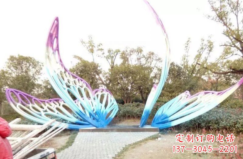 泰州彩色不锈钢蝴蝶雕塑