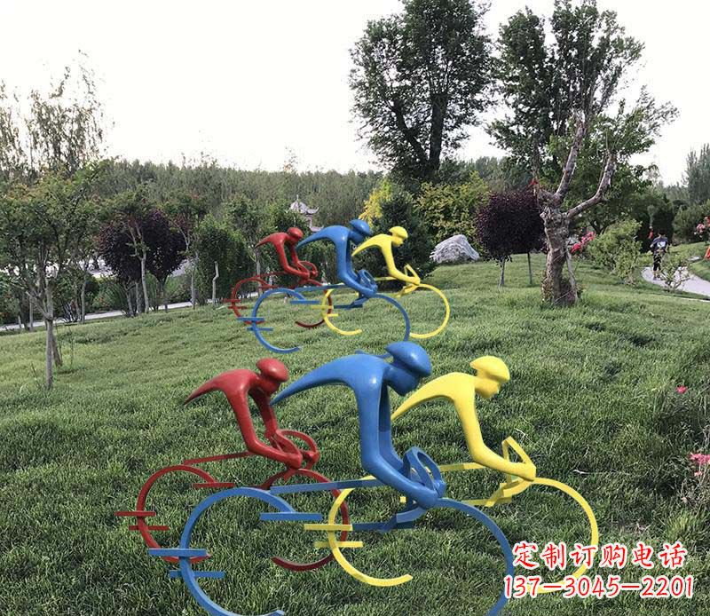 泰州抽象骑自行车公园景观雕塑