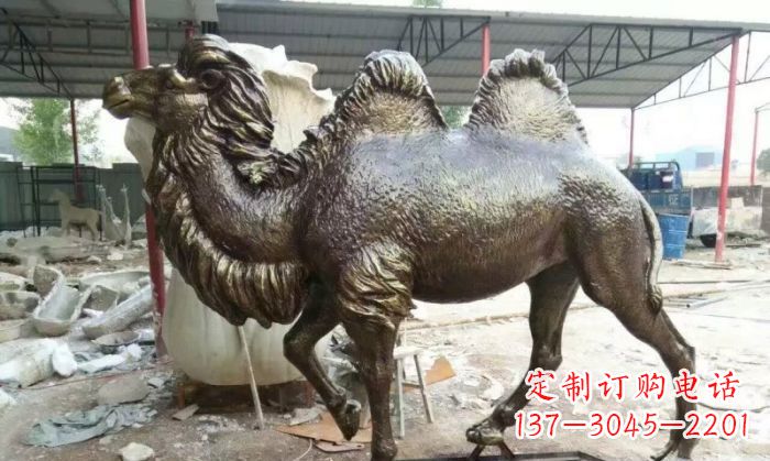 泰州铜雕骆驼,精致优雅