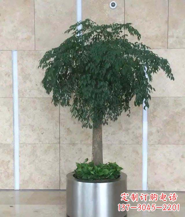 泰州公司不锈钢花盆景观雕塑