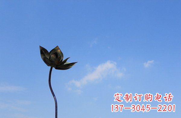 泰州公园不锈钢荷花雕塑