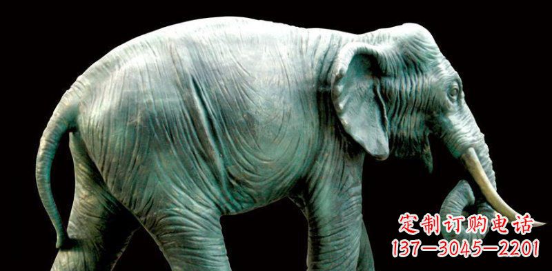 泰州铜雕大象——艺术精灵的完美融合