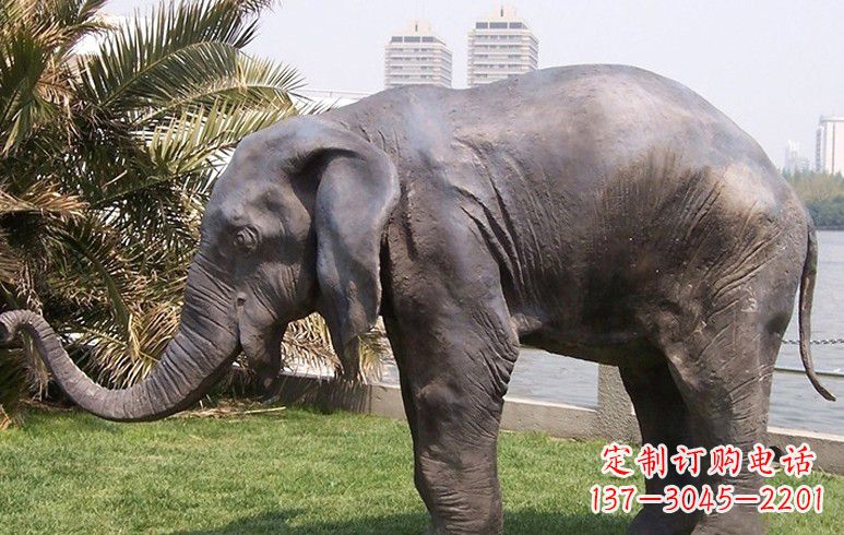 泰州高品质铜质大象雕塑