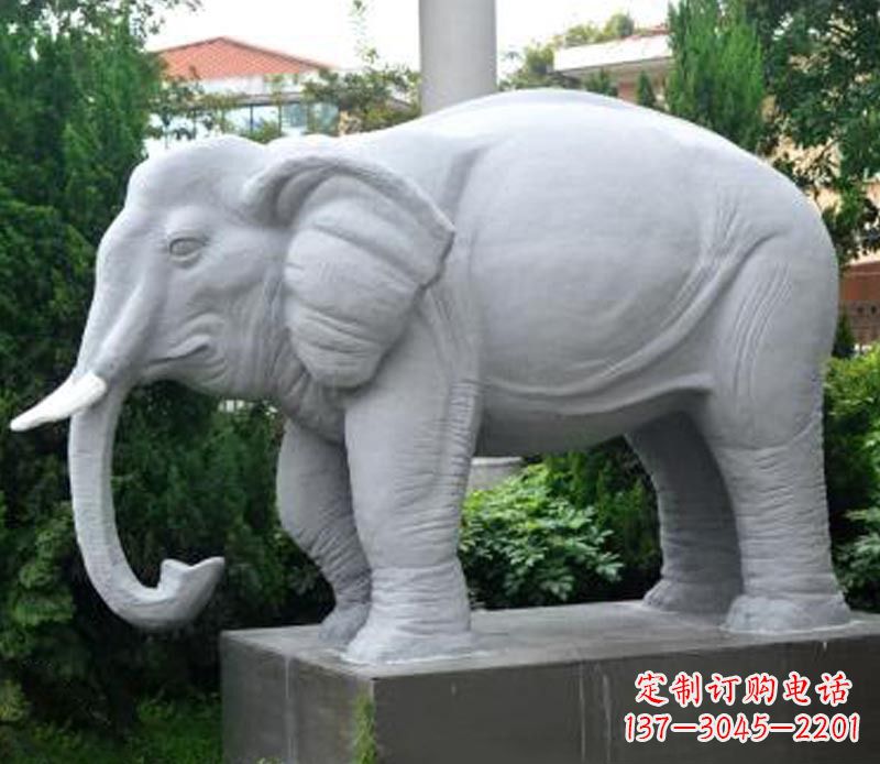 泰州大象大理石石雕