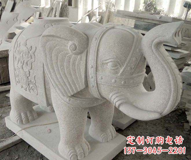 泰州令人惊叹的大象石雕