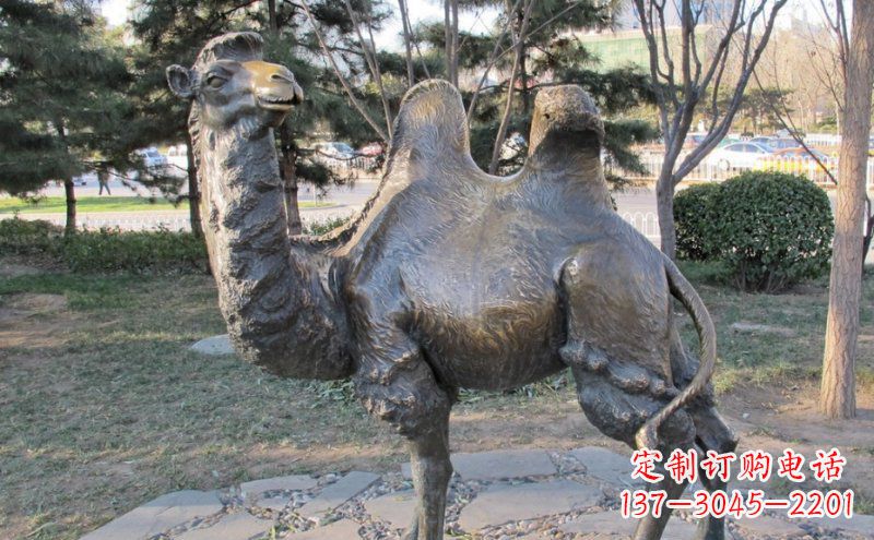 泰州公园骆驼动物铜雕 (4)