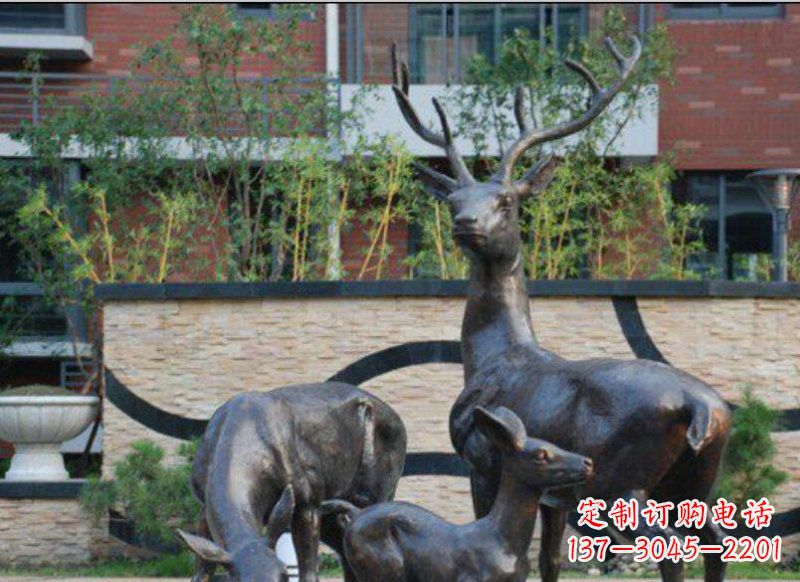 泰州公园梅花鹿动物铜雕