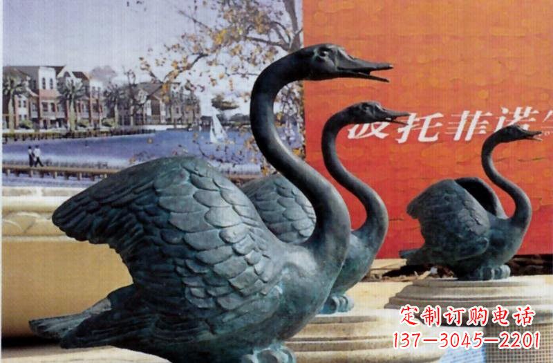 泰州公园天鹅铜雕