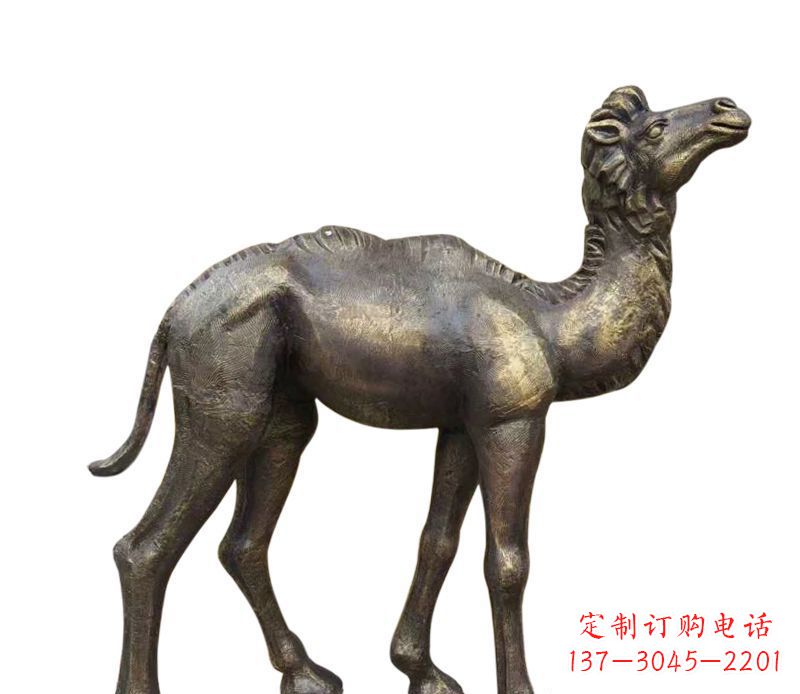 泰州奇美洁净的骆驼铜雕