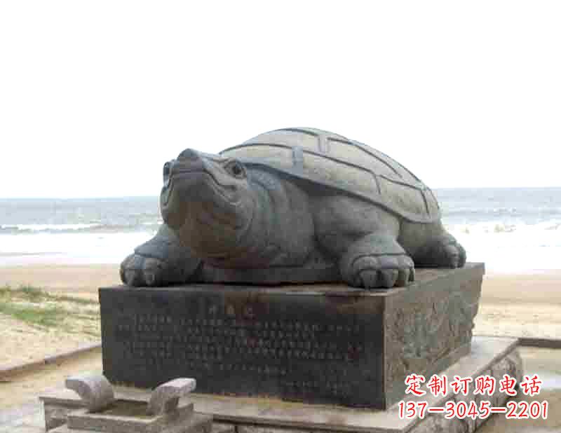 泰州时尚精致的乌龟铜雕