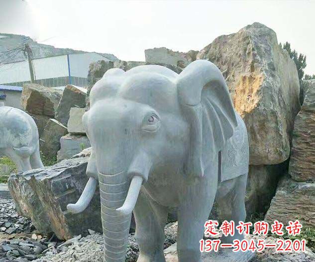 泰州广场景观大理石大象石雕 (2)