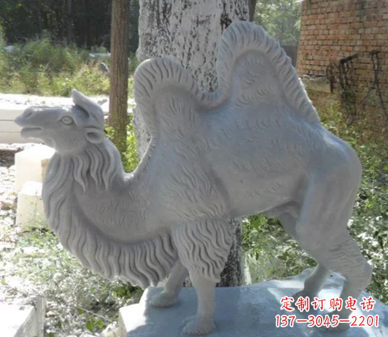 泰州汉白玉动物骆驼石雕