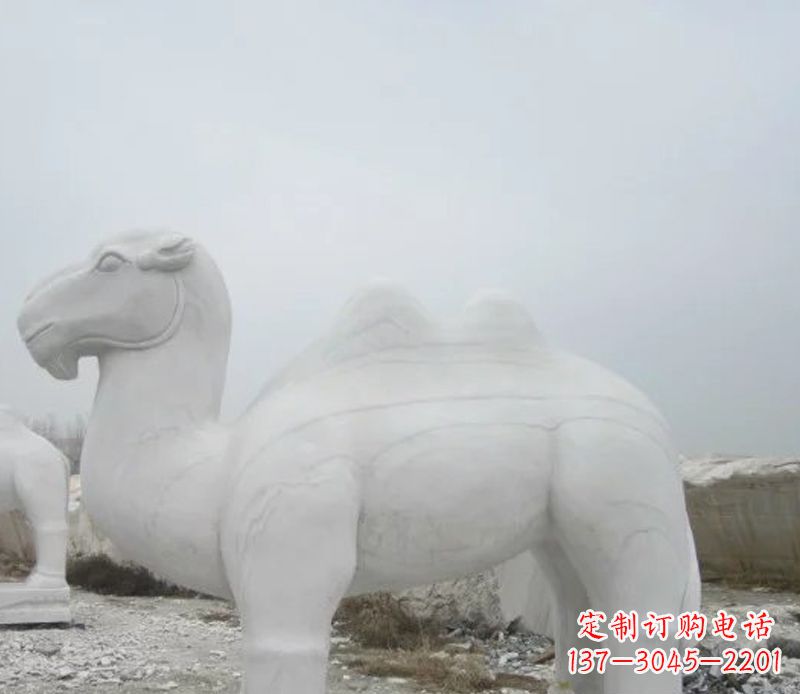 泰州汉白玉骆驼石雕塑,装点家居空间