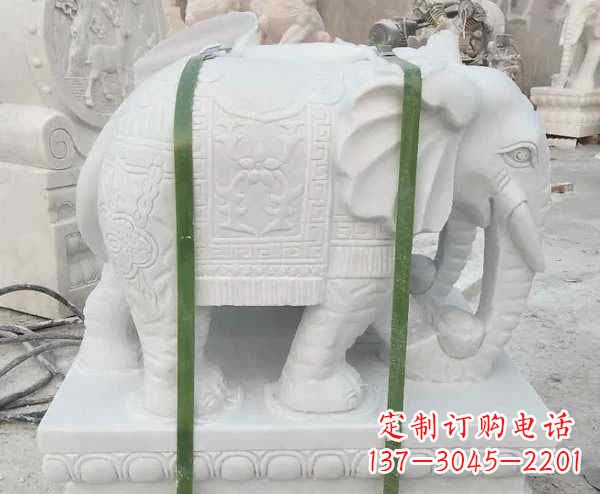 泰州汉白玉招财大象石雕 (2)
