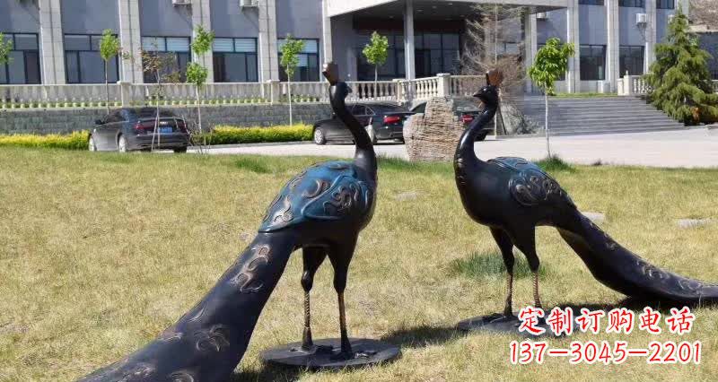 泰州领雕塑-孔雀铜雕,高雅精美的艺术精品
