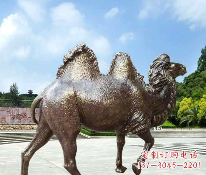 泰州欣赏骆驼美感，购买骆驼铜雕
