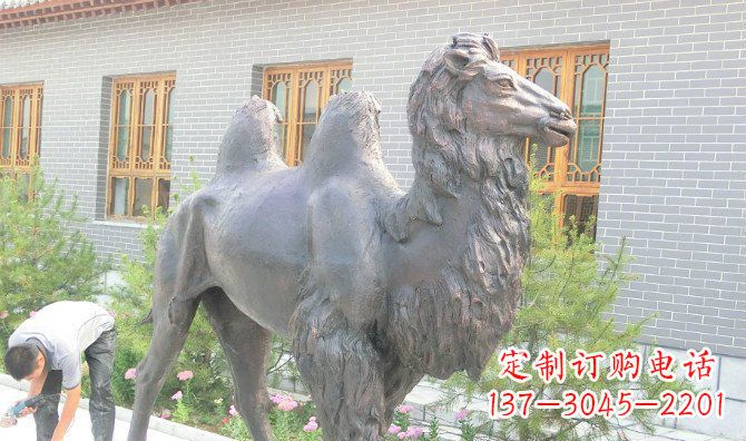 泰州骆驼公园动物铜雕 (2)