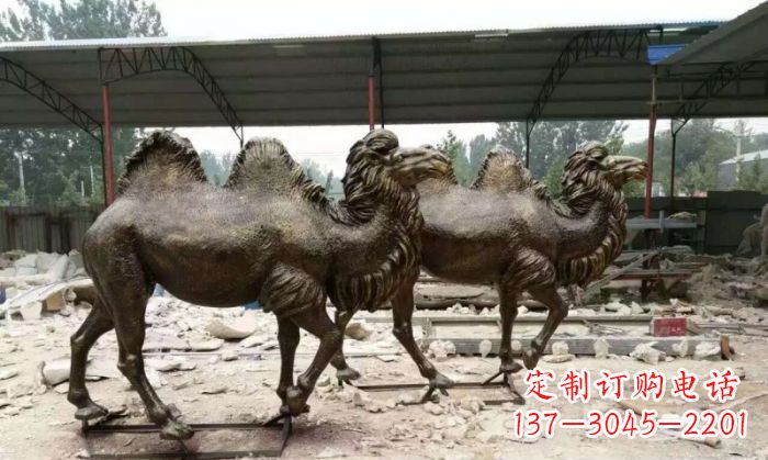 泰州骆驼动物铜雕 (4)