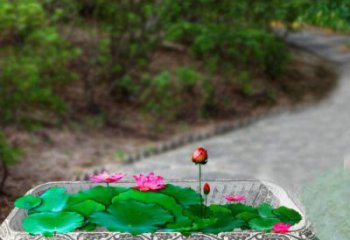 泰州独特的福字雕塑，为家庭增添乐趣