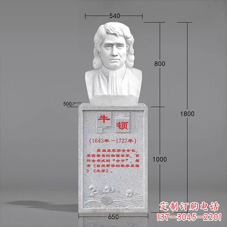 泰州艺术精灵:牛顿汉白玉石头像雕塑
