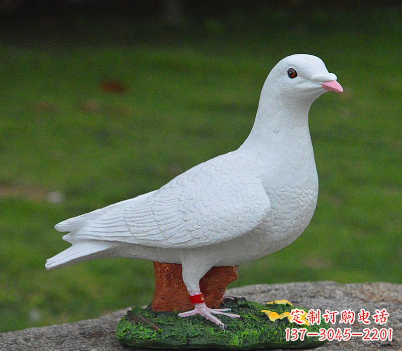 泰州美丽的和平鸽雕塑,传递暖暖的正能量