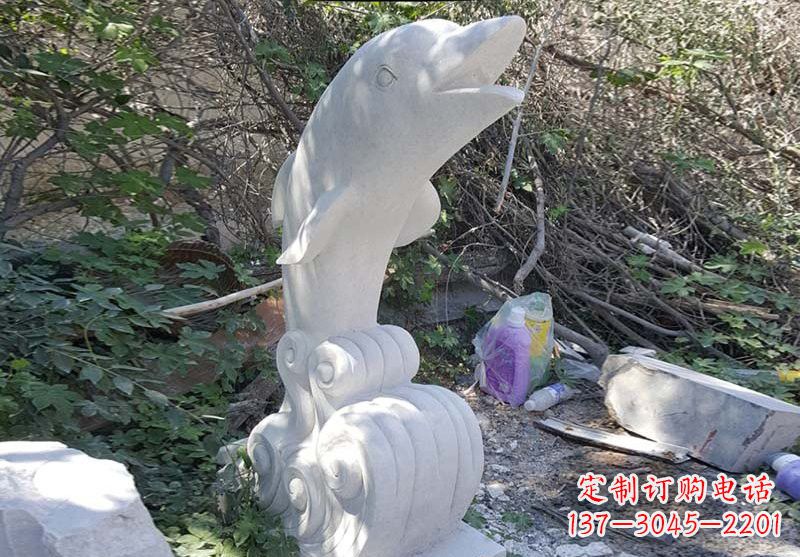 泰州海豚雕塑:悠闲无比的精灵