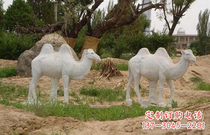 泰州欣赏大自然,石雕骆驼公园动物雕塑邀请您