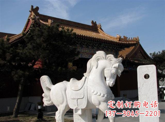 泰州石雕小马