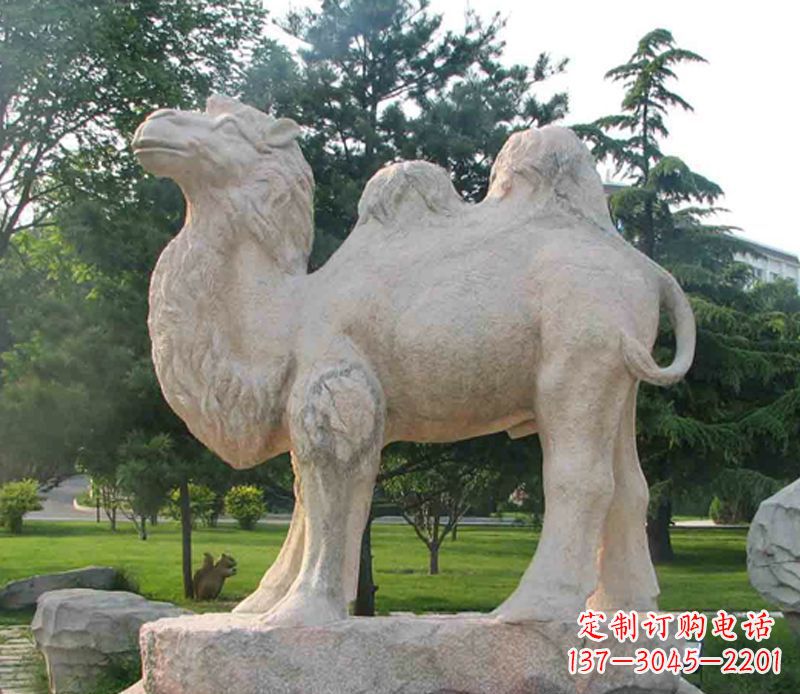 泰州石头骆驼雕塑