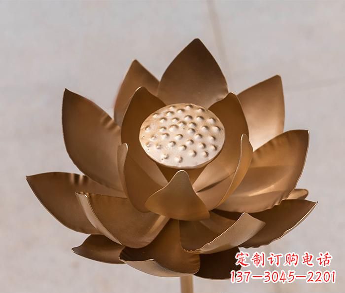 泰州铜雕景观荷花