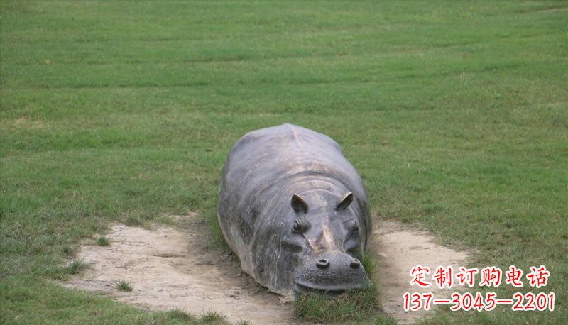 泰州铜雕趴着的河马