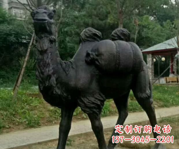 泰州驮行李的骆驼铜雕