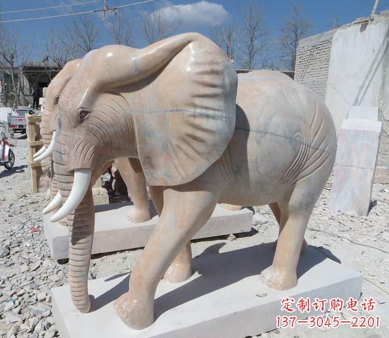 泰州晚霞红卷鼻大象