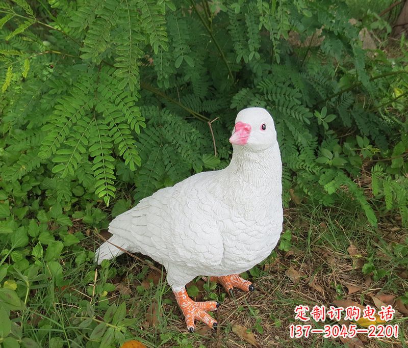 泰州潍坊青年路和平鸽灰姑娘雕塑