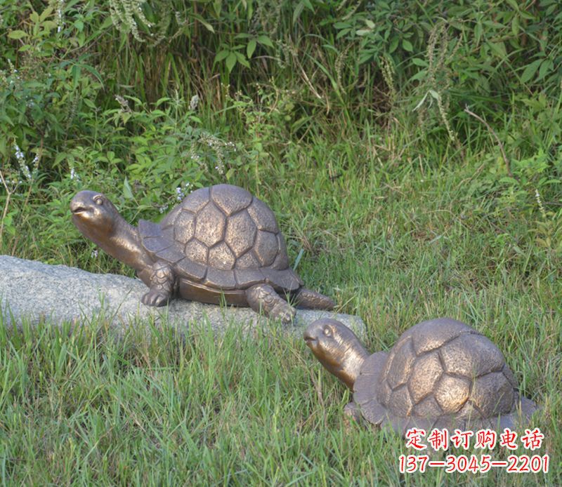 泰州乌龟铜雕